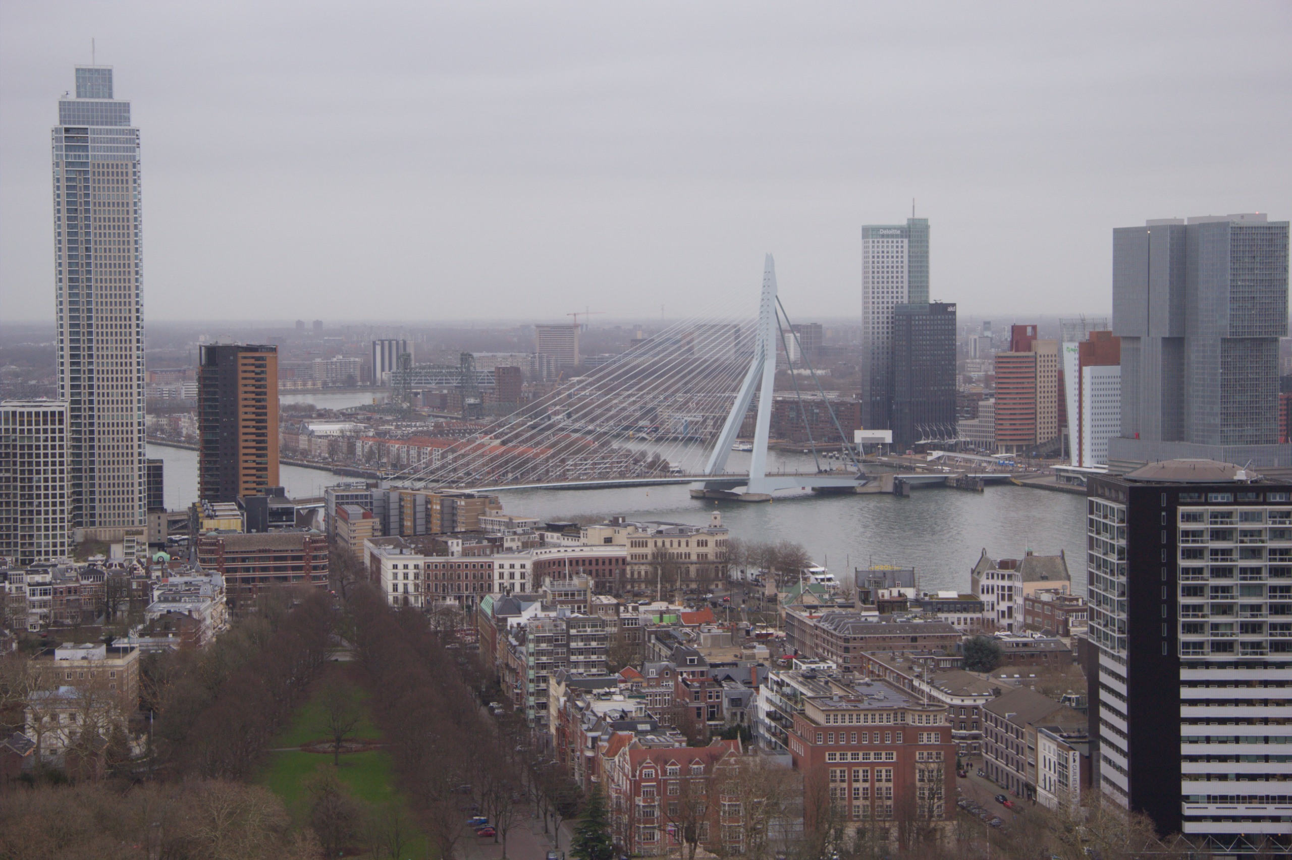 Rotterdam Skyline